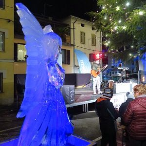 IMG_4181a.jpg