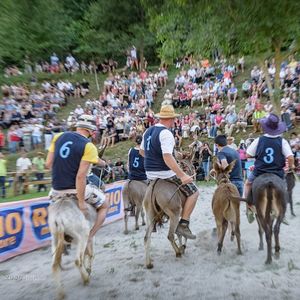 Mu__je_dirke_Levpa_2016__50_of_106_.jpg